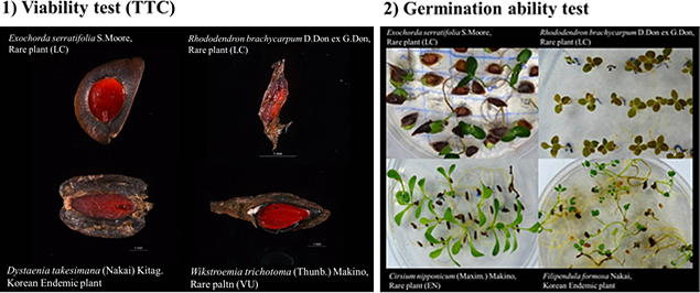 1) Viablity test(TTC) 이미지와 2) Germination ability test 이미지입니다.