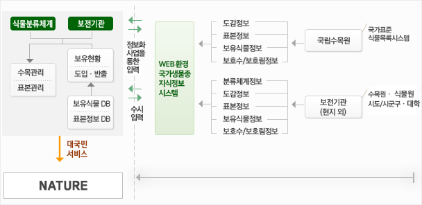 식물분류체게와 보존기관에서 보유식물DB와 표본정보DB를 기반으로 보유현황 및 도입·반출 내역 등의 정보를 통해 수목관리와 표본관리를 합니다.
						     이러한 정보등을 통해 대국민서비스인 NATURE(국가생물종지식정보시스템)를 제공합니다.
						     국립수목원의 국가표준식물목록시스템에서 도감정보, 표본정보, 보유식물정보, 보호수/보호림정보등을 국가생물종지식정보시스템에 제공하고,
						     수목원·식물원,시도/시군구·대학 등 보전기관(현지 외)에서 분류체계, 도감정보, 표본정보, 보유식물정보, 보호수/보호림정보 등을 WEB환경의 
						     국가생물종지식정보시스템에 제공합니다.
						     이정보들은 정보화사업을 통한 입력과 수시입력을 통해 데이터 현행화를 하고 있습니다.