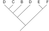 About images is Phylogenic tree