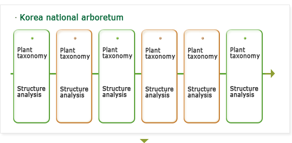 Formation of plant specimen DB S/W 2nd