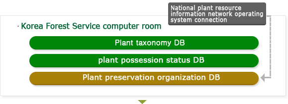 Formation of plant specimen DB S/W 3rd